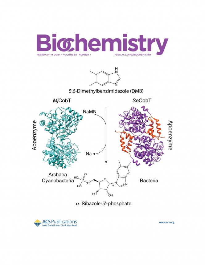 Biochemistry Feb 19, 2019