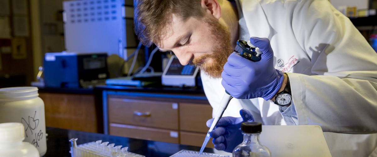 Graduate student in microbiology lab