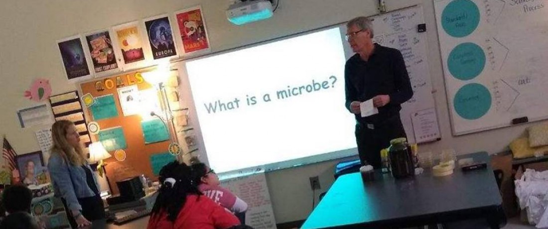 What is a Microbe?