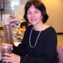 Dr. Jan Westpheling